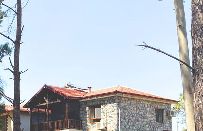 Taskiran Villa Hisaronu - Foto 35