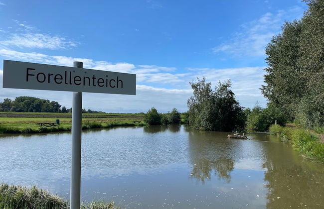 Ferienhaeuser im Ferienpark, Hechthausen - Foto 25