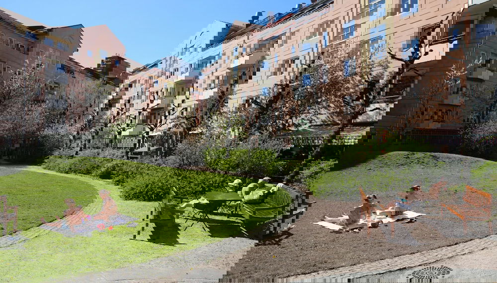 Image principale
