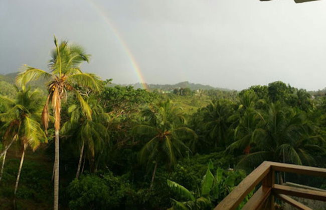 Great Palm View - Apartment 3 in Villa Coconut - Foto 16