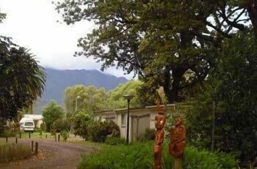 Foto 62 - Te Aroha Holiday Park and Hot Pools