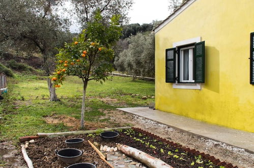 Foto 54 - Cute Yellow Handmade House With Garden