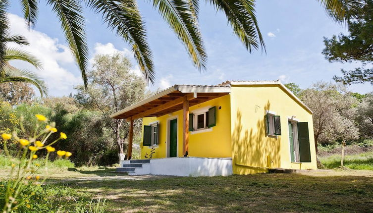 Photo 1 - Cute Yellow Handmade House With Garden