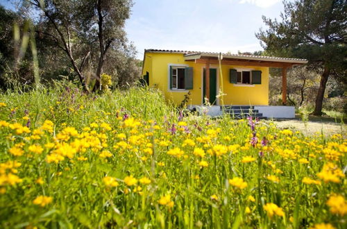 Foto 71 - Cute Yellow Handmade House With Garden