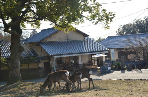 Photo 27 - Mountain Home Lodge in Deer Park