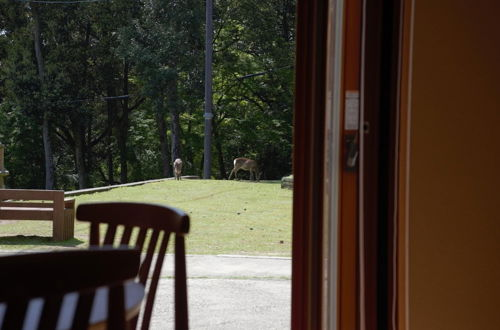 Foto 17 - Mountain Home Lodge in Deer Park