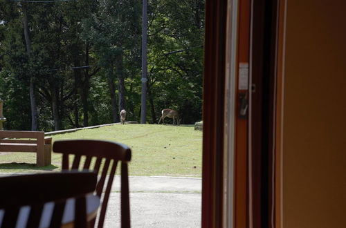 Photo 17 - Mountain Home Lodge in Deer Park