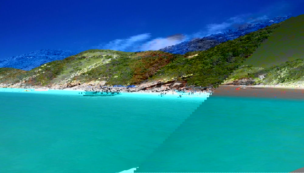 Imagem principal