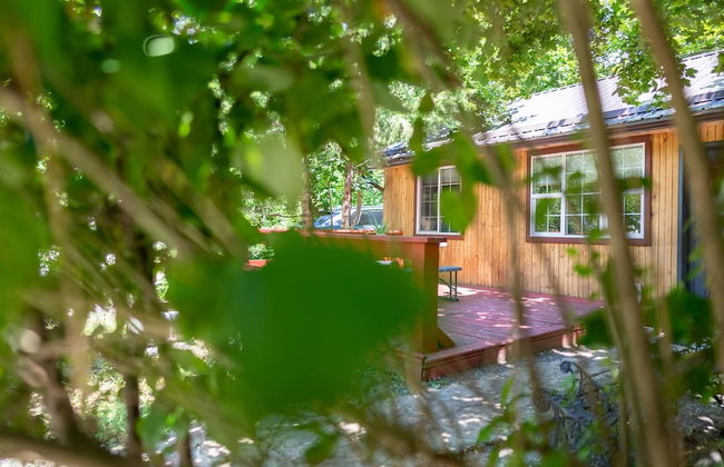 Barefoot Villas Cabin 1 Beaver w/ Hot tub - Foto 58