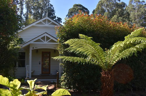 Photo 18 - Garden Cottage at Fern Falls Cottages