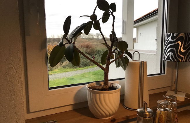 Nordanå Gård - Foto 25