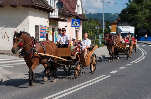 Photo 42 - Cichy Zakatek Rabka Zdroj