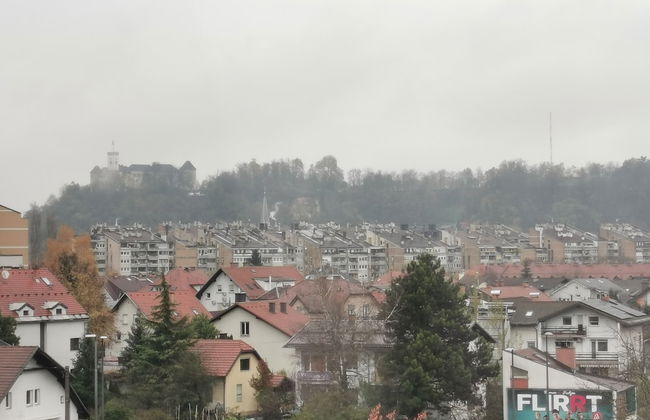 Trnovo Apartment - Photo 12
