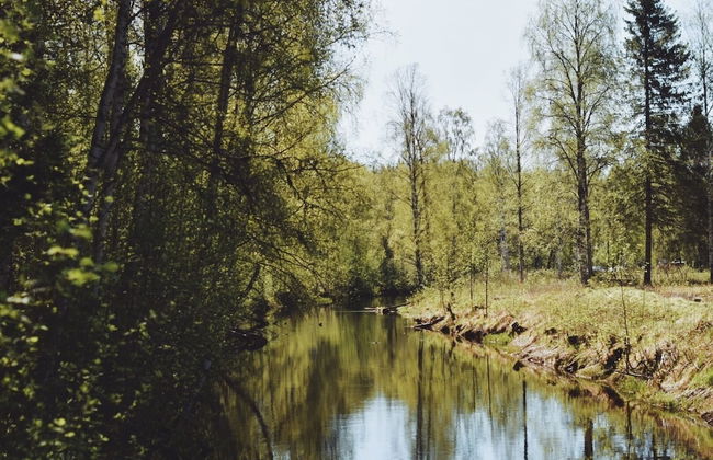 Lövångergården - Foto 67