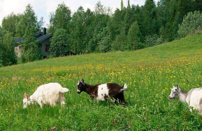 6 Person Holiday Home in Nordli-by Traum - Photo 22