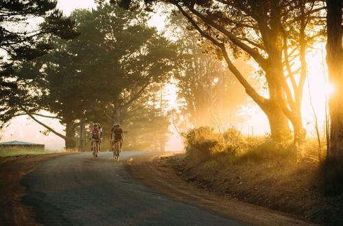 Photo 21 - Margaret River Beach Studios