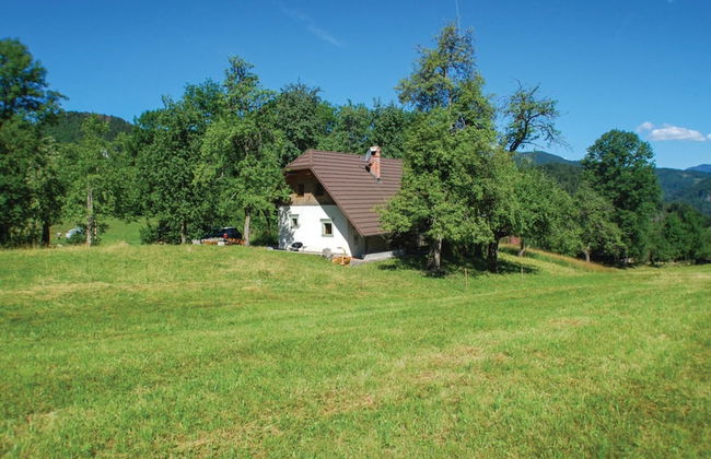 Chalet Kupljenik Near Bled Lake - Foto 36