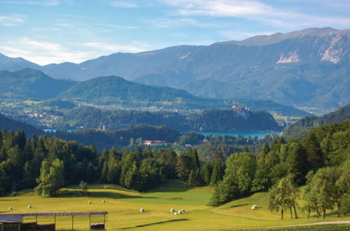 Photo 22 - Chalet Kupljenik Near Bled Lake