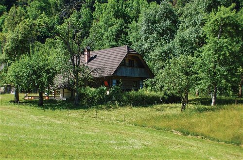 Photo 1 - Chalet Kupljenik Near Bled Lake