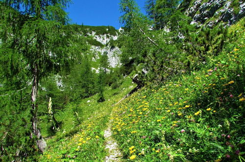 Photo 36 - Chalet Kupljenik Near Bled Lake