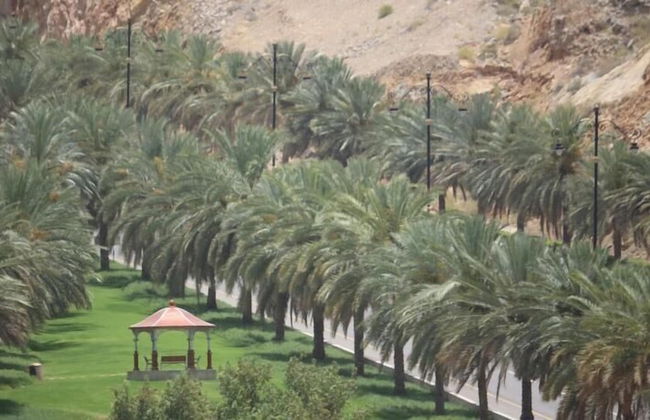 Pioneer Hotel Apartments - Foto 19