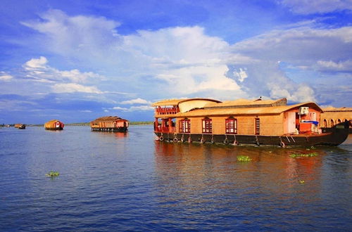 Photo 6 - BLUSALZ MANOR Waters Edge Kochi