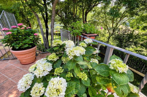 Photo 62 - Spoleto Splash : Cisterna/sleeps 2/3/wifi/aircon - Beautiful Views all Around