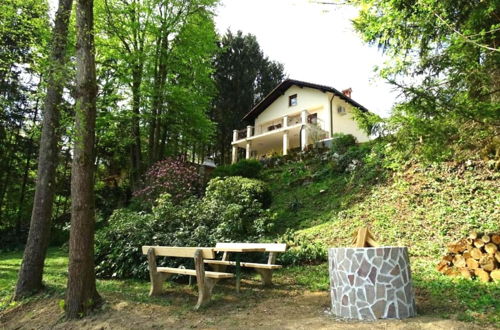 Photo 20 - House Kolpa Paradise Whirlpool And Sauna