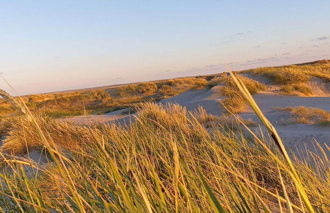 12 Person Holiday Home in Romo - Foto 9