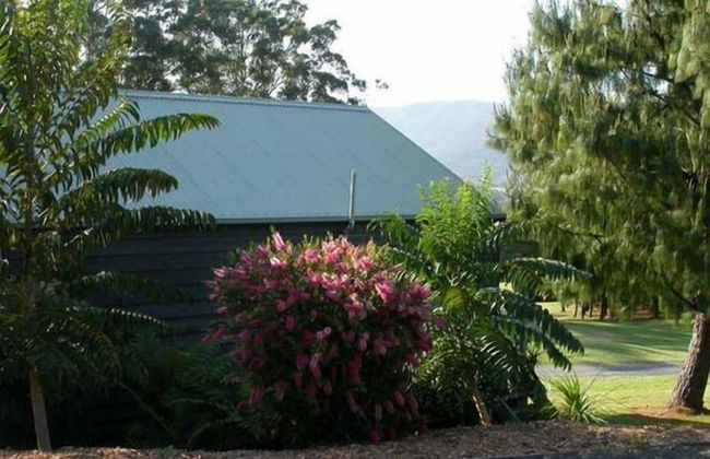 Greenwood Cabin in Kangaroo Valley - Photo 11