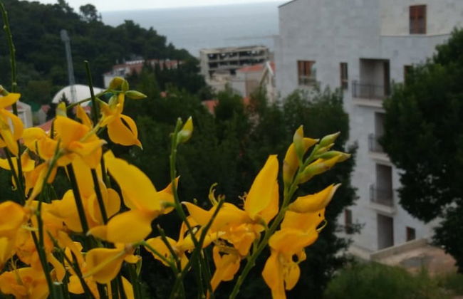 Apartments Jovanovic - Photo 67