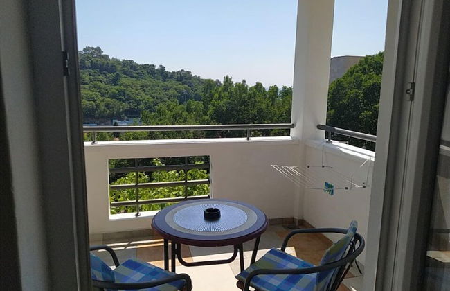 Apartments Jovanovic - Photo 24
