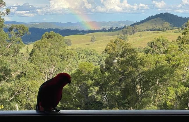 Bluegums Cabins Barrington Tops - Foto 80