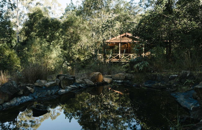 Bluegums Cabins Barrington Tops - Foto 62