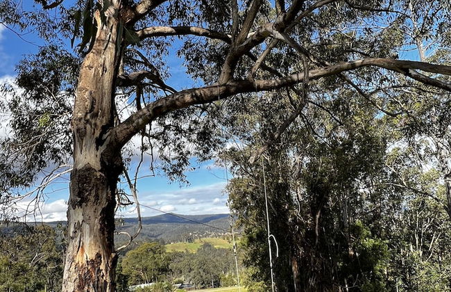 Bluegums Cabins Barrington Tops - Foto 70