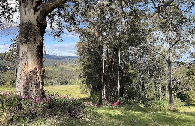 Bluegums Cabins Barrington Tops - Foto 68