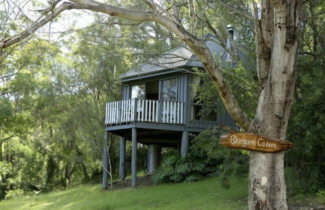 Bluegums Cabins Barrington Tops - Foto 61