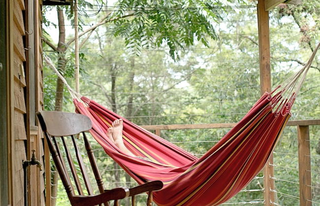 Bluegums Cabins Barrington Tops - Foto 44