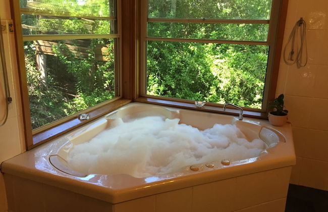 Bluegums Cabins Barrington Tops - Foto 49