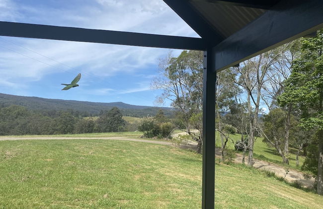 Bluegums Cabins Barrington Tops - Foto 59