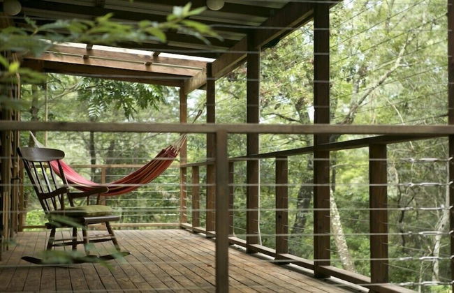 Bluegums Cabins Barrington Tops - Foto 42