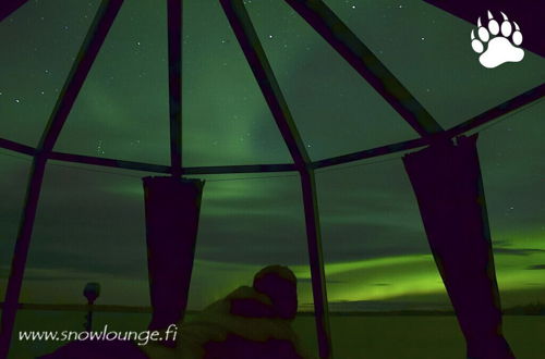 Photo 18 - SnowLounge AuroraHut GlasIgloos IceHotel