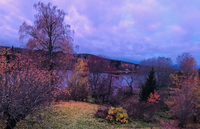 Apple Tree Cabin With River Views - Foto 22