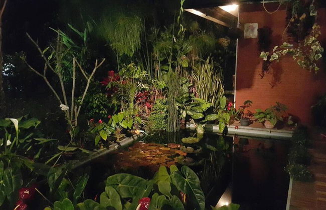 Vila Bunga Merah Gelatik - Foto 36