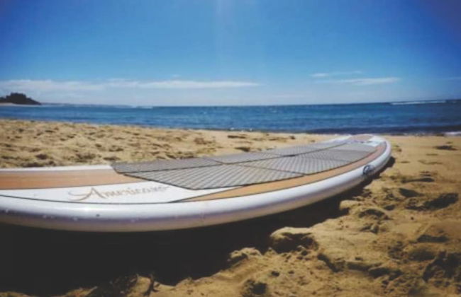 Vanuatu Beachfront Apartments - Photo 44