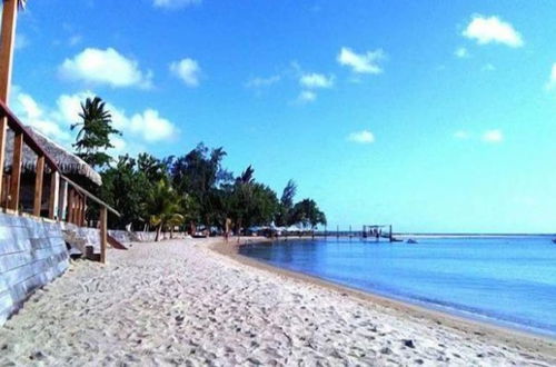 Photo 52 - Vanuatu Beachfront Apartments