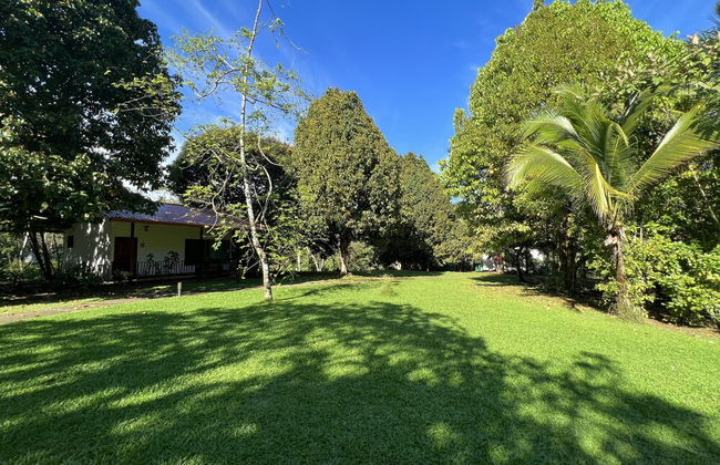 Blue Banyan Inn - Foto 15