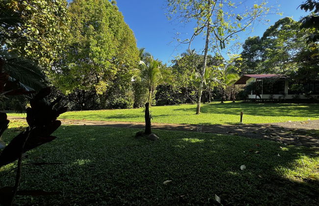 Blue Banyan Inn - Foto 18