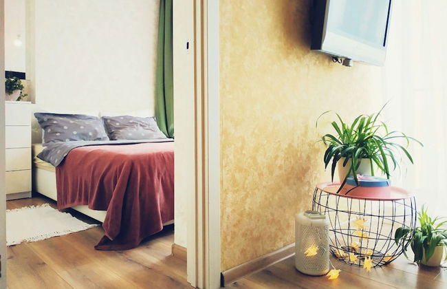 MalinaApt Pink Olive - Photo 7