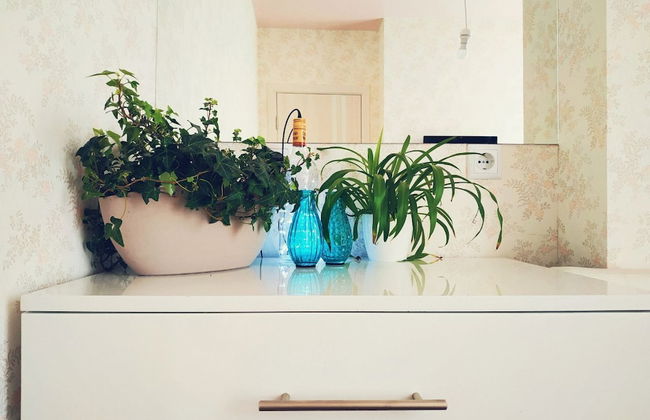 MalinaApt Pink Olive - Photo 18